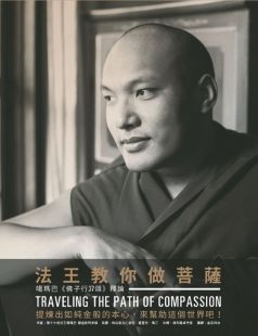 法王教你做菩薩:噶瑪巴佛子行37頌釋論