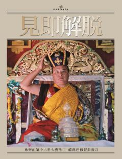 見即解脫:尊聖的第十六世大寶法王噶瑪巴傳記與教言